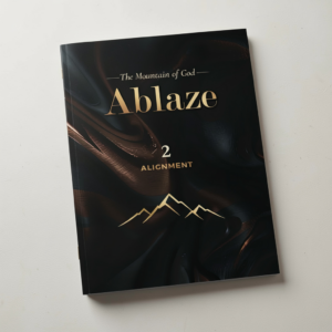 ABLAZE series: 2. Alignment